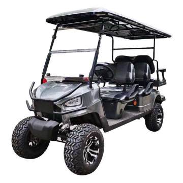 NexGo GD front view