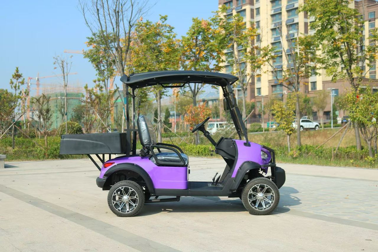 NexGo GD detail view